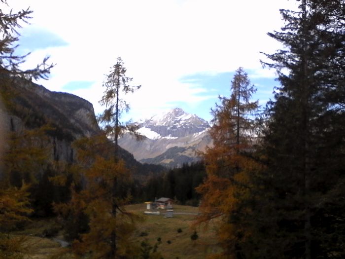 IMG_20201022_113949.jpg