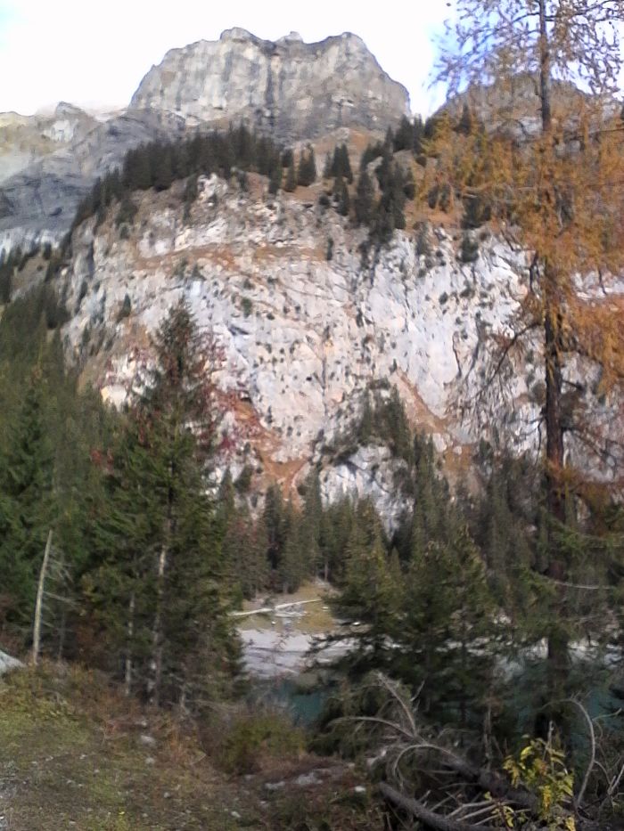 IMG_20201022_115012.jpg