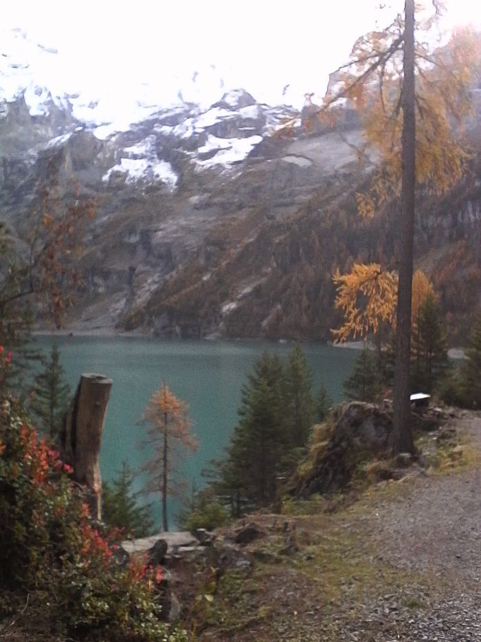 IMG_20201022_115034.jpg