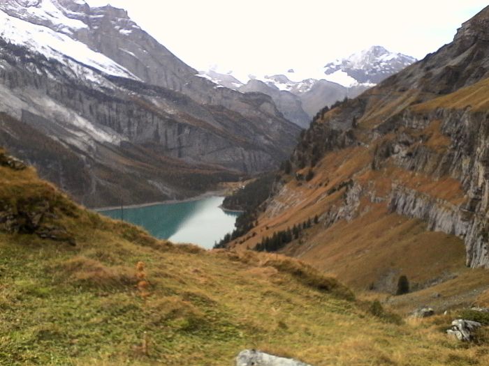 IMG_20201022_123522.jpg