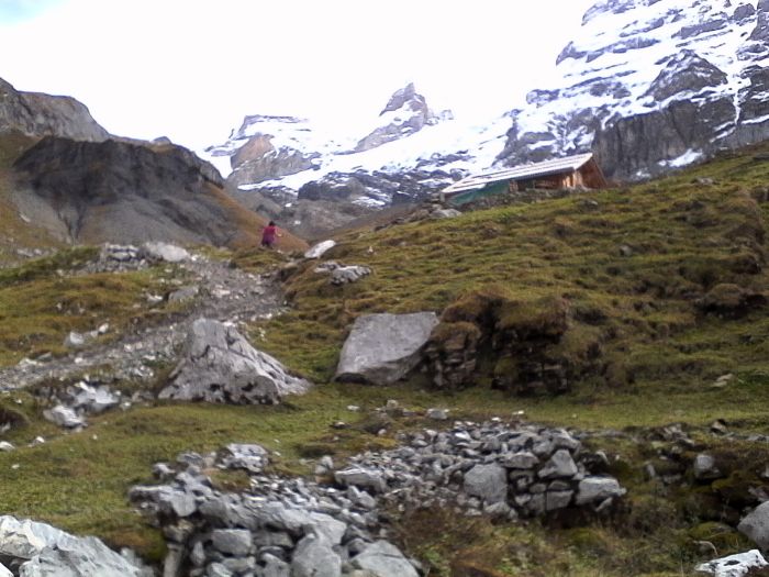 IMG_20201022_123542.jpg