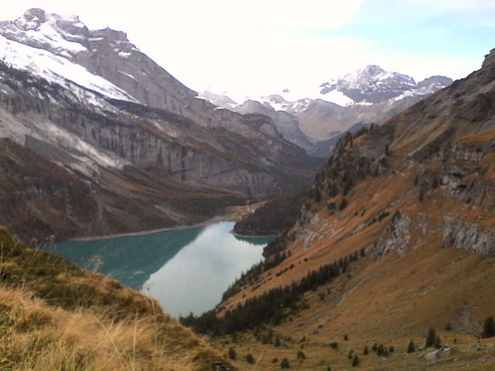 IMG_20201022_123941.jpg