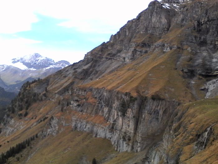 IMG_20201022_124118.jpg