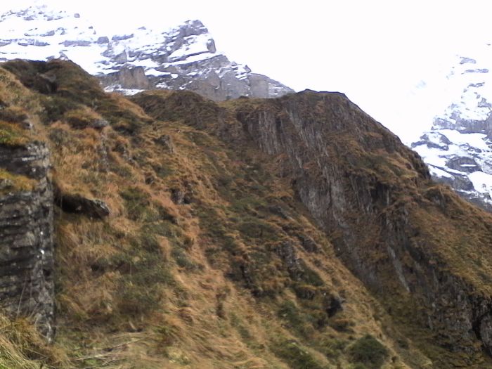 IMG_20201022_124151.jpg
