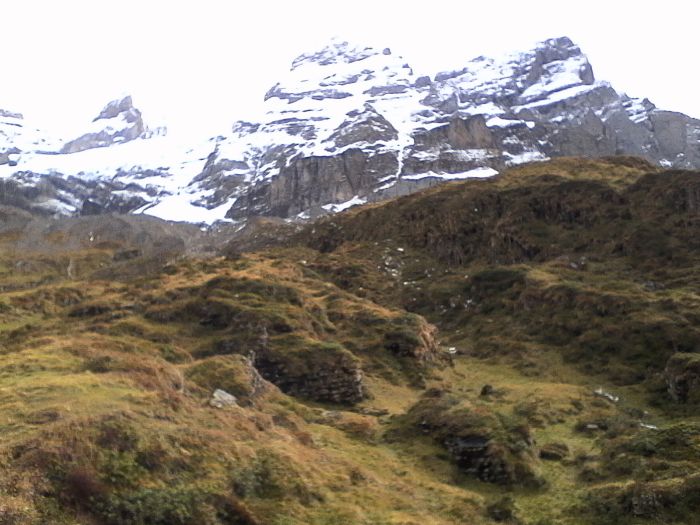 IMG_20201022_124454.jpg