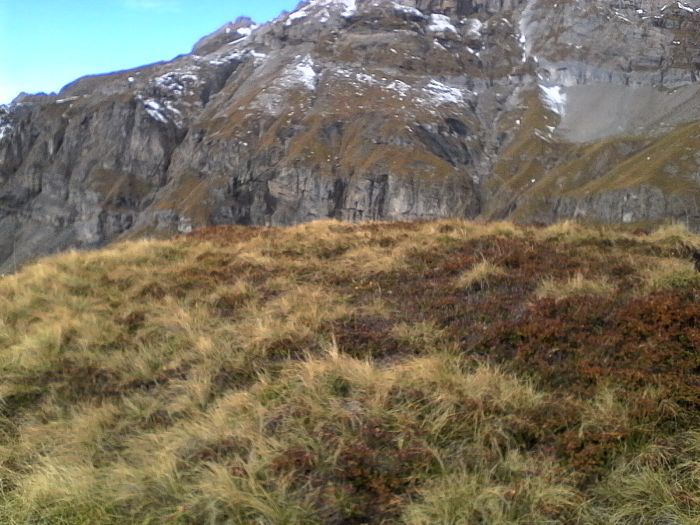 IMG_20201022_125818.jpg