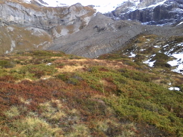 IMG_20201022_125830.jpg