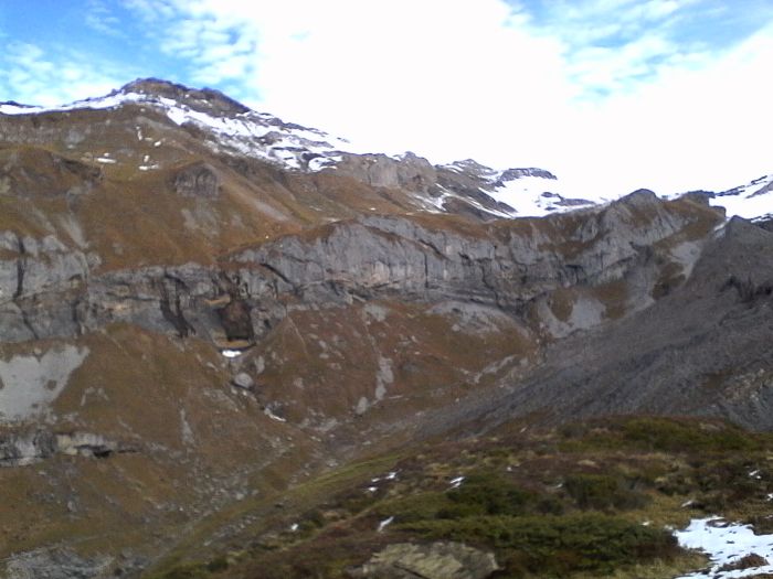 IMG_20201022_130007.jpg
