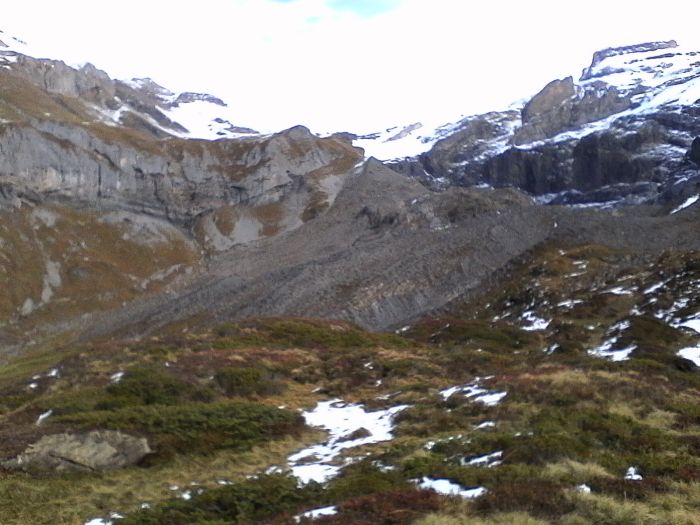IMG_20201022_130018.jpg