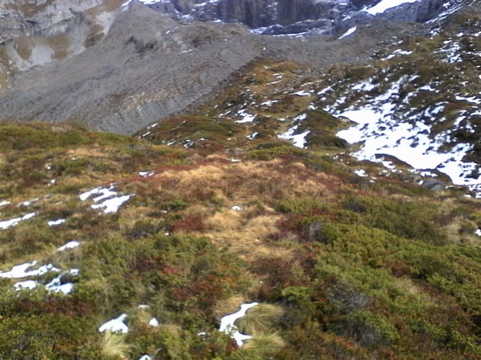 IMG_20201022_130042.jpg