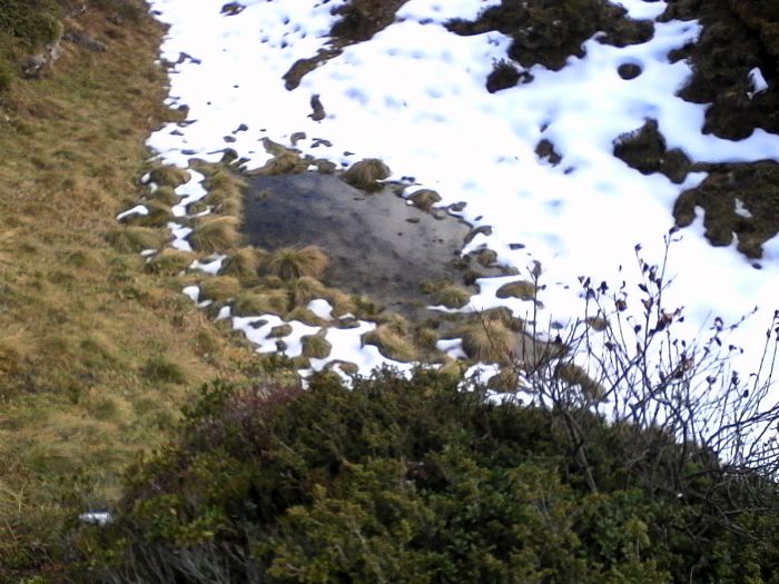 IMG_20201022_130332.jpg