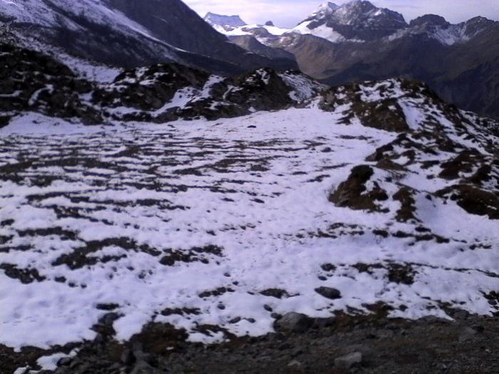 IMG_20201022_131039.jpg