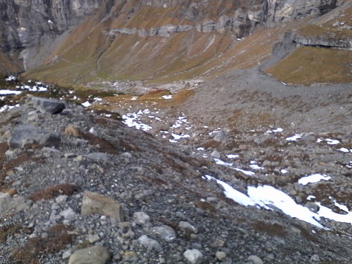 IMG_20201022_131046.jpg
