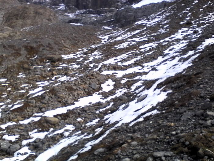 IMG_20201022_131054.jpg
