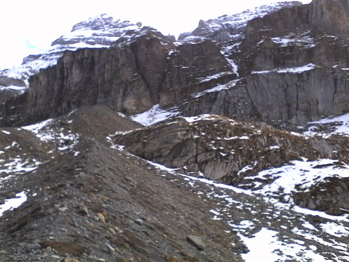 IMG_20201022_131103.jpg