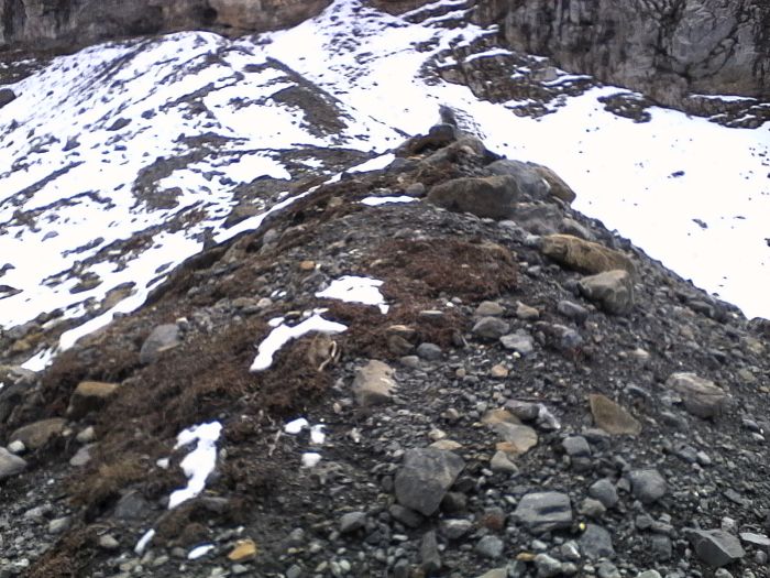 IMG_20201022_131517.jpg