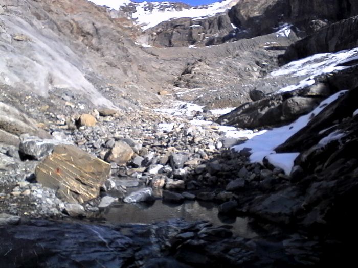 IMG_20201022_134600.jpg