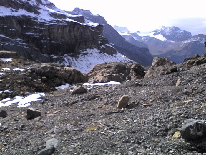 IMG_20201022_140239.jpg