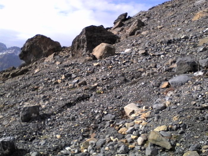 IMG_20201022_140247.jpg