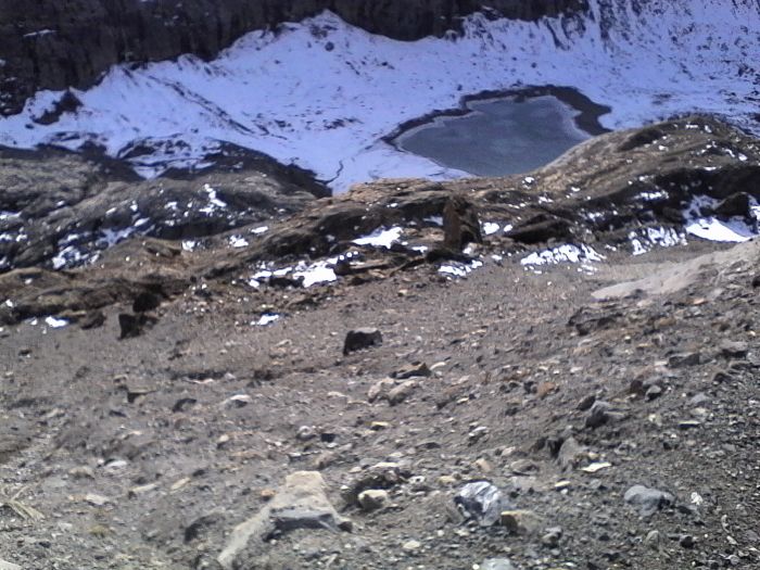 IMG_20201022_141136.jpg
