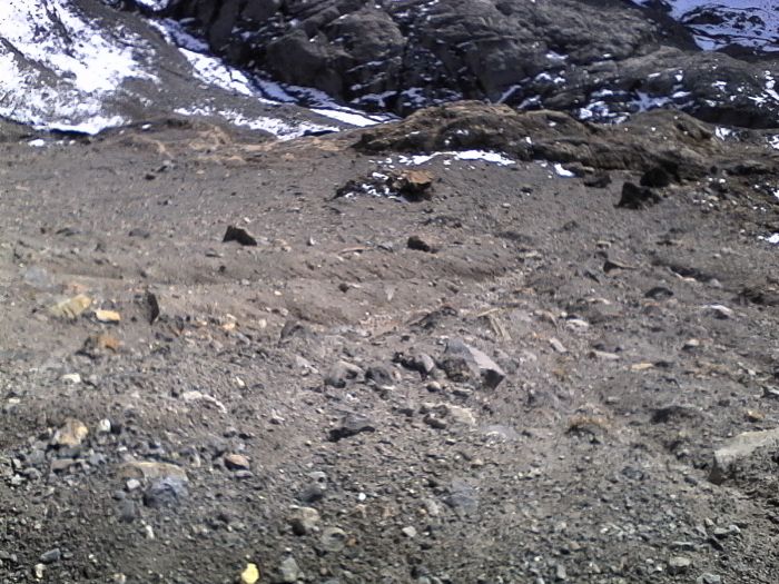 IMG_20201022_141144.jpg