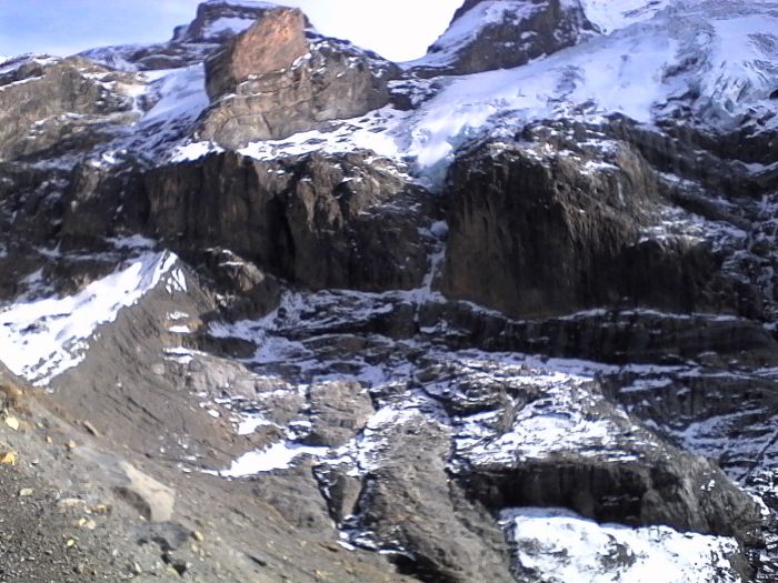 IMG_20201022_141203.jpg