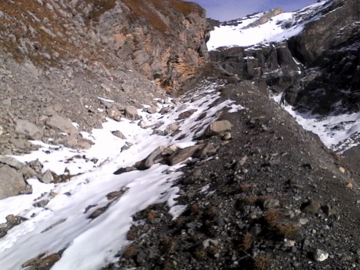 IMG_20201022_141210.jpg