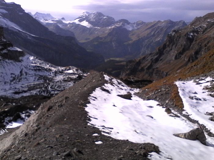 IMG_20201022_141226.jpg