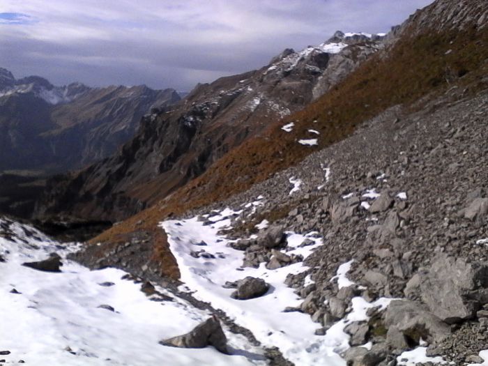 IMG_20201022_141231.jpg