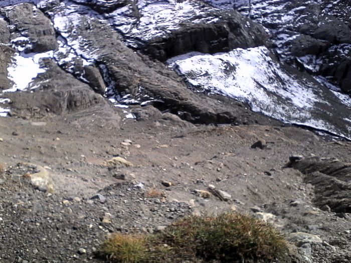 IMG_20201022_141829.jpg