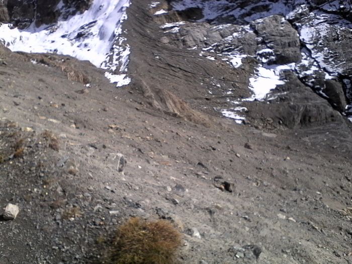 IMG_20201022_141837.jpg