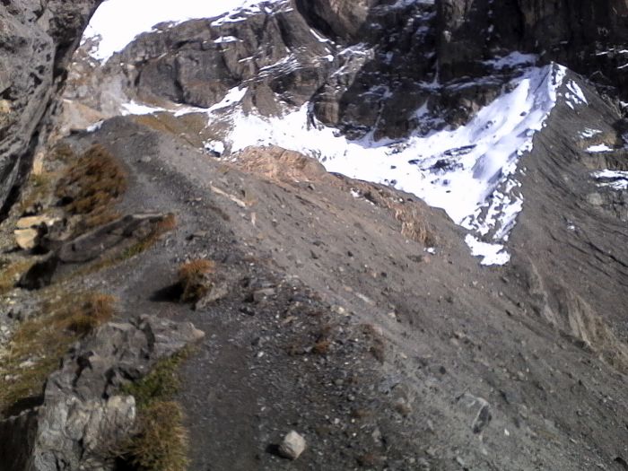 IMG_20201022_141843.jpg