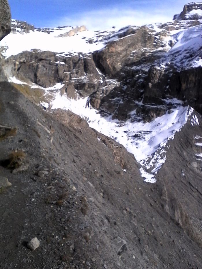 IMG_20201022_141905.jpg