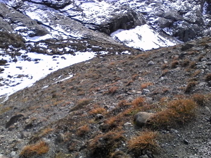 IMG_20201022_142302.jpg