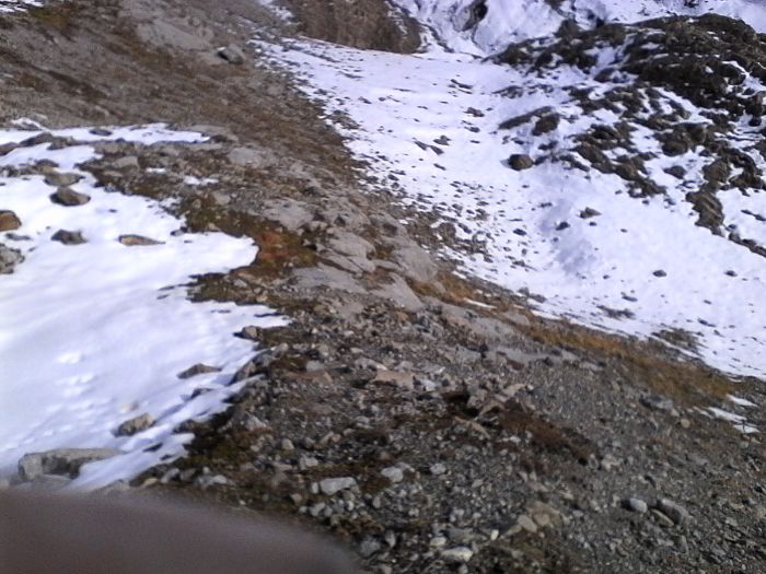 IMG_20201022_142309.jpg