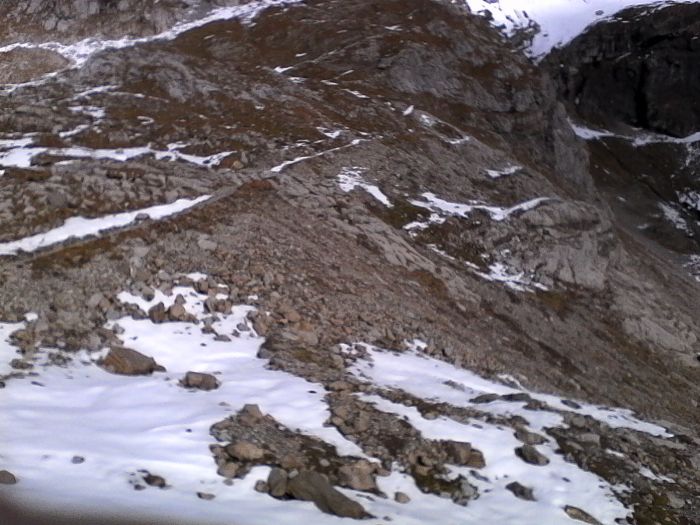 IMG_20201022_142316.jpg