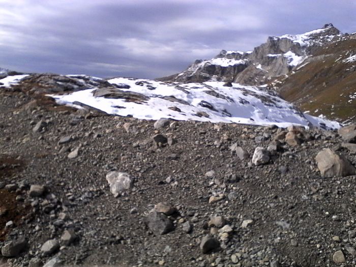 IMG_20201022_142336.jpg
