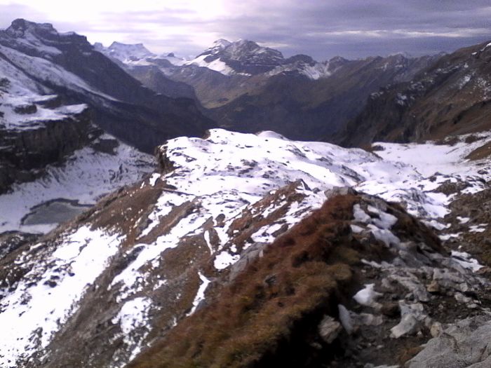 IMG_20201022_143238.jpg