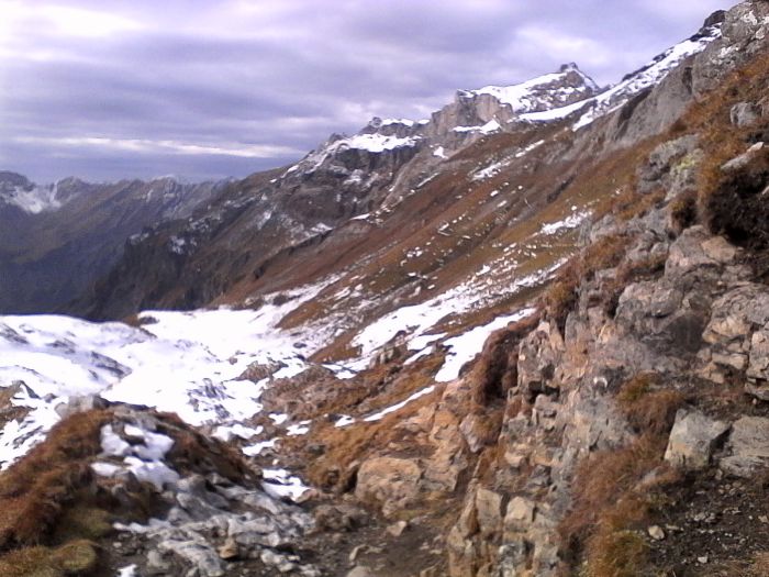 IMG_20201022_143246.jpg