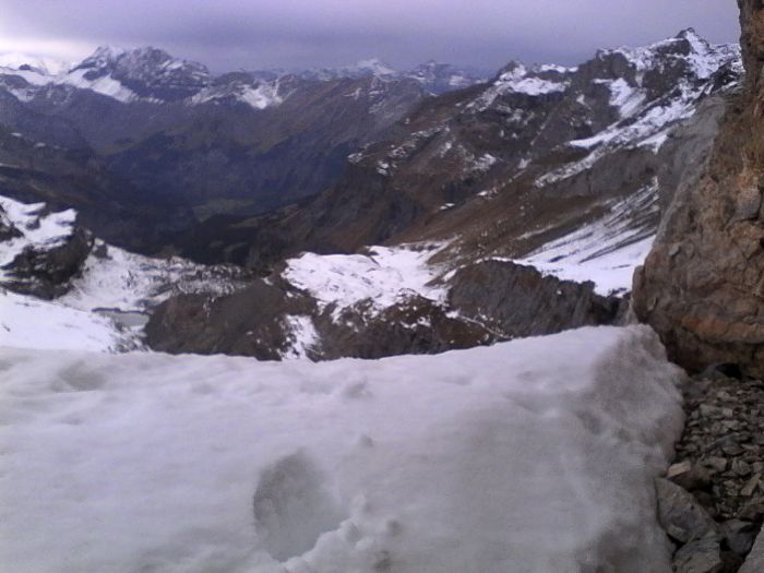 IMG_20201022_152556.jpg