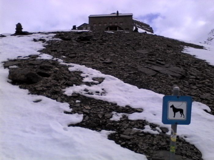 IMG_20201022_153706.jpg