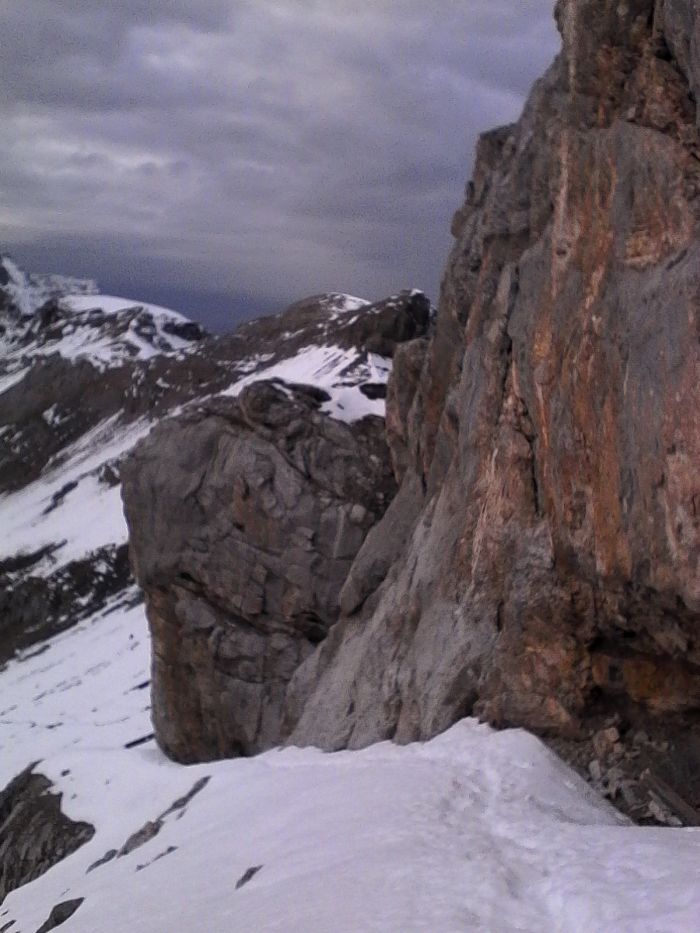 IMG_20201022_155651.jpg