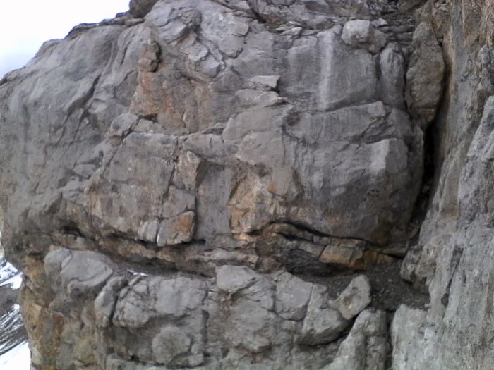 IMG_20201022_160046.jpg