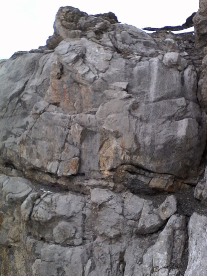 IMG_20201022_160054.jpg