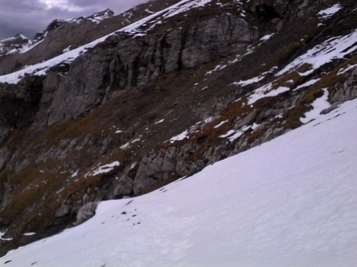 IMG_20201022_162119.jpg