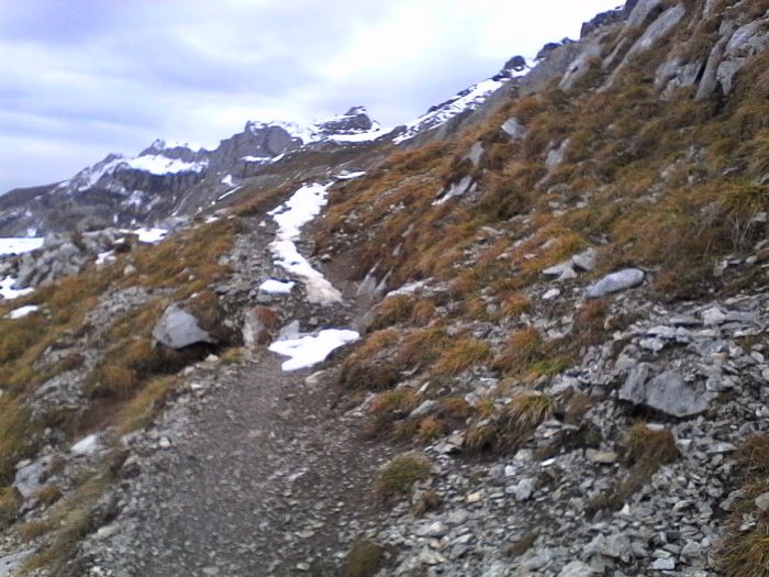 IMG_20201022_163934.jpg