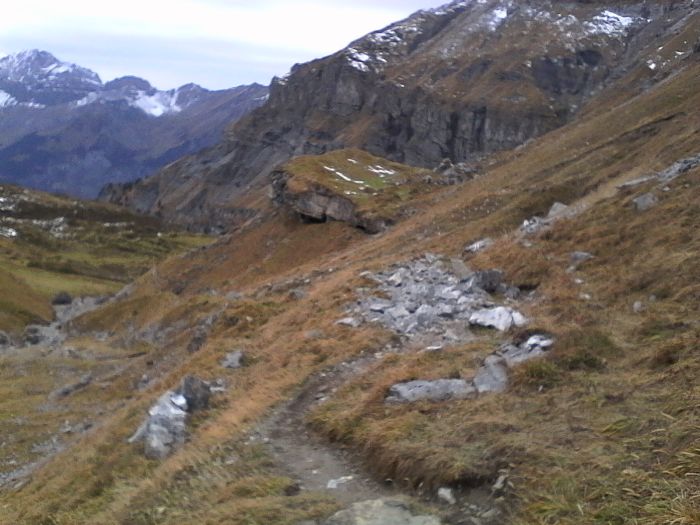 IMG_20201022_170012.jpg