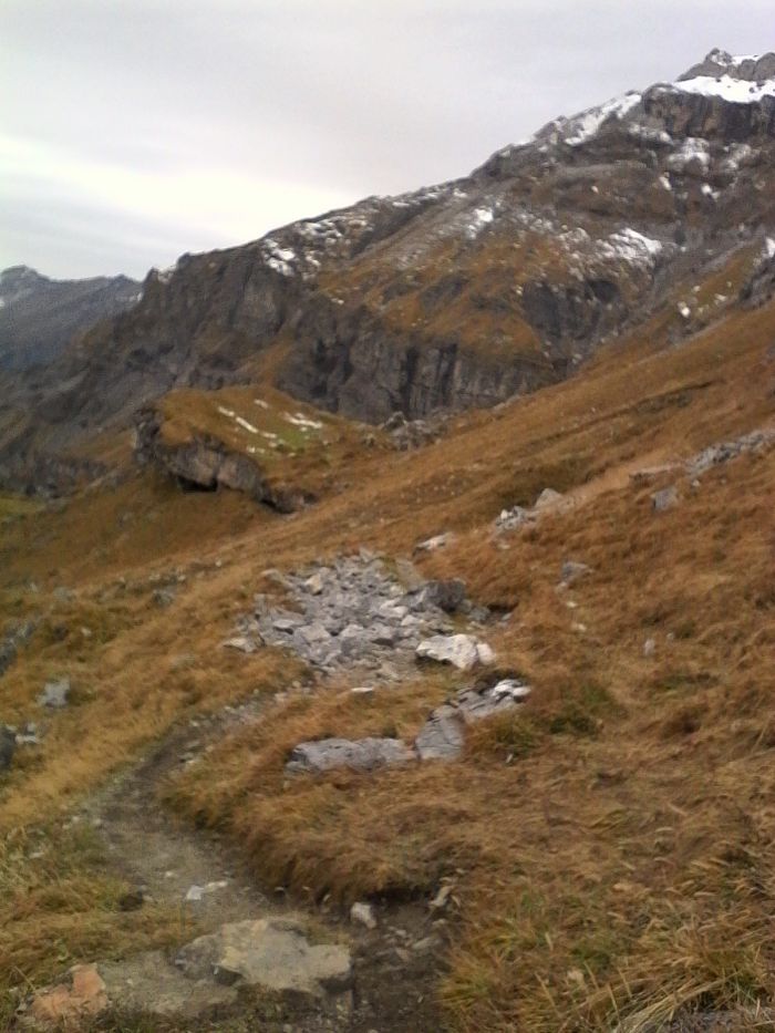 IMG_20201022_170028.jpg