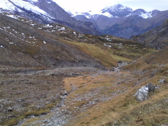 IMG_20201022_170105.jpg