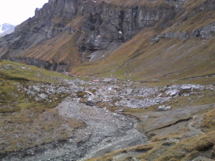 IMG_20201022_171011.jpg